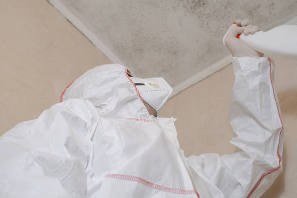 Best Residential Mold Remediation in Ocean Park, WA