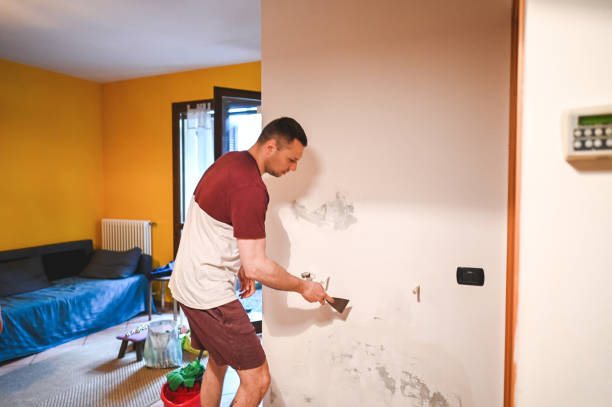 Best Residential Mold Remediation in Ocean Park, WA